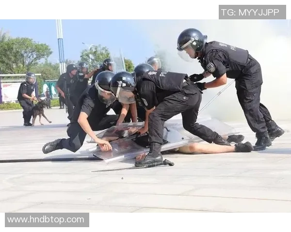 杭州滑板队中路突破战术解析与实战应用探讨